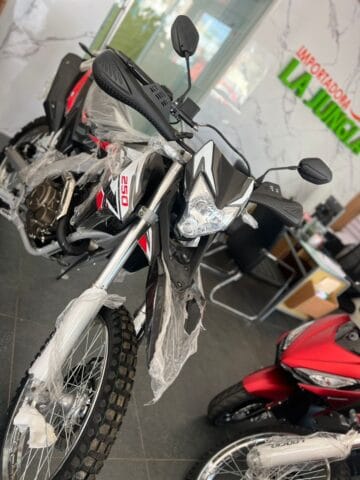 Loncin SX2 250